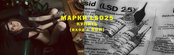 мдпв Верхний Тагил