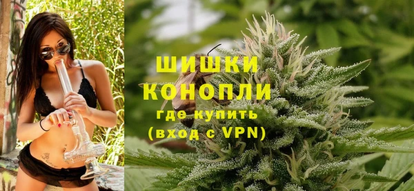 мдпв Верхний Тагил