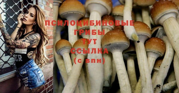 ALPHA-PVP Верея