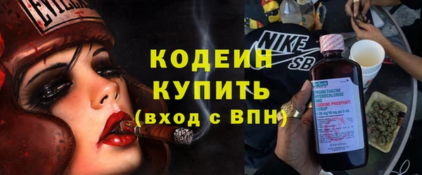 мдпв Верхний Тагил