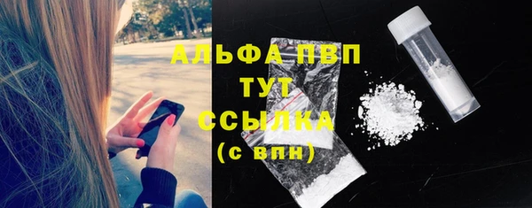 мдпв Верхний Тагил