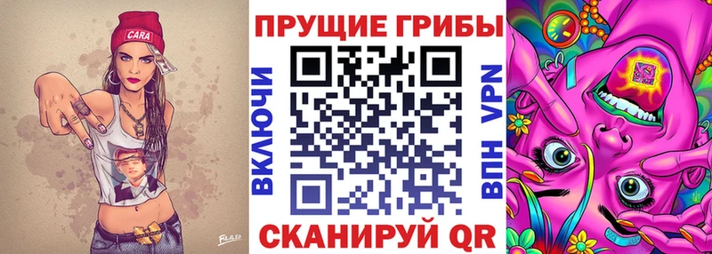 Псилоцибиновые грибы мицелий  сколько стоит  Чебоксары 